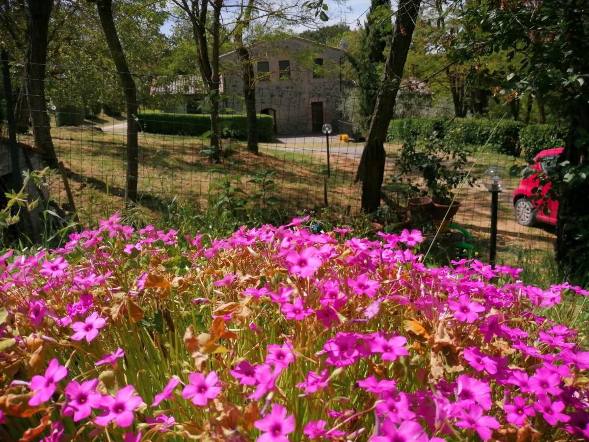 Agriturismo Il Cornalino Castel Viscardo المظهر الخارجي الصورة