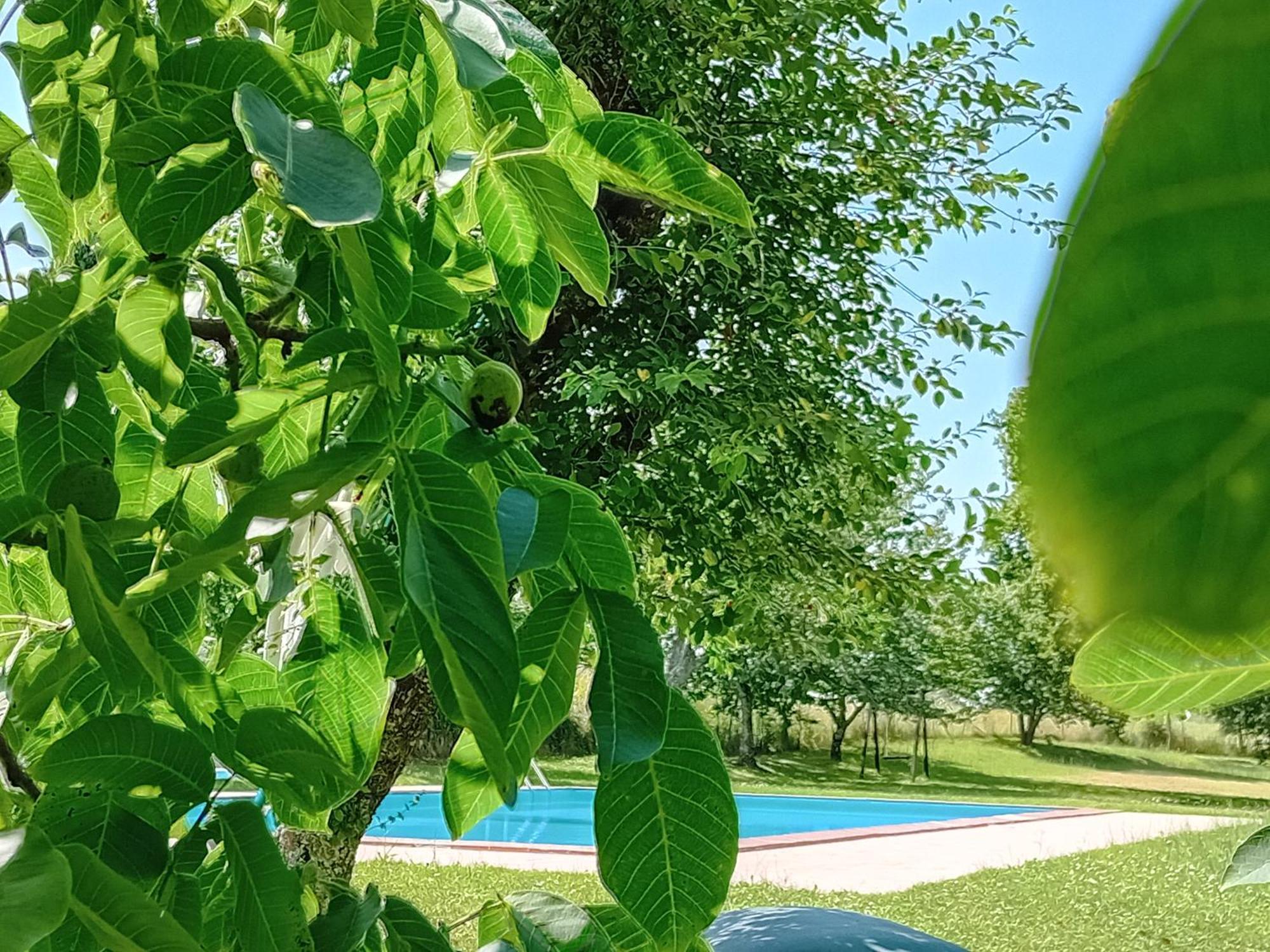 Agriturismo Il Cornalino Castel Viscardo المظهر الخارجي الصورة