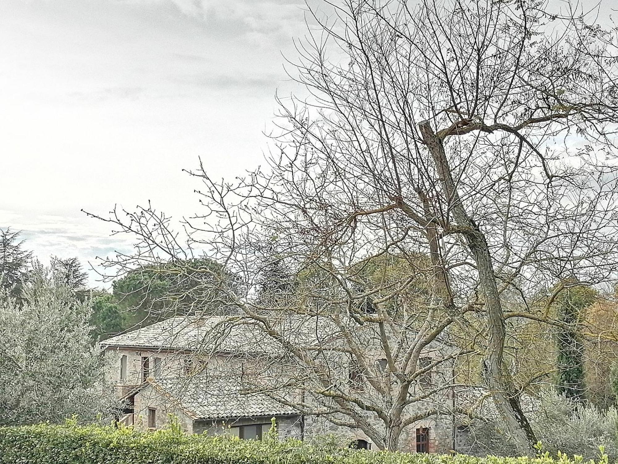 Agriturismo Il Cornalino Castel Viscardo المظهر الخارجي الصورة