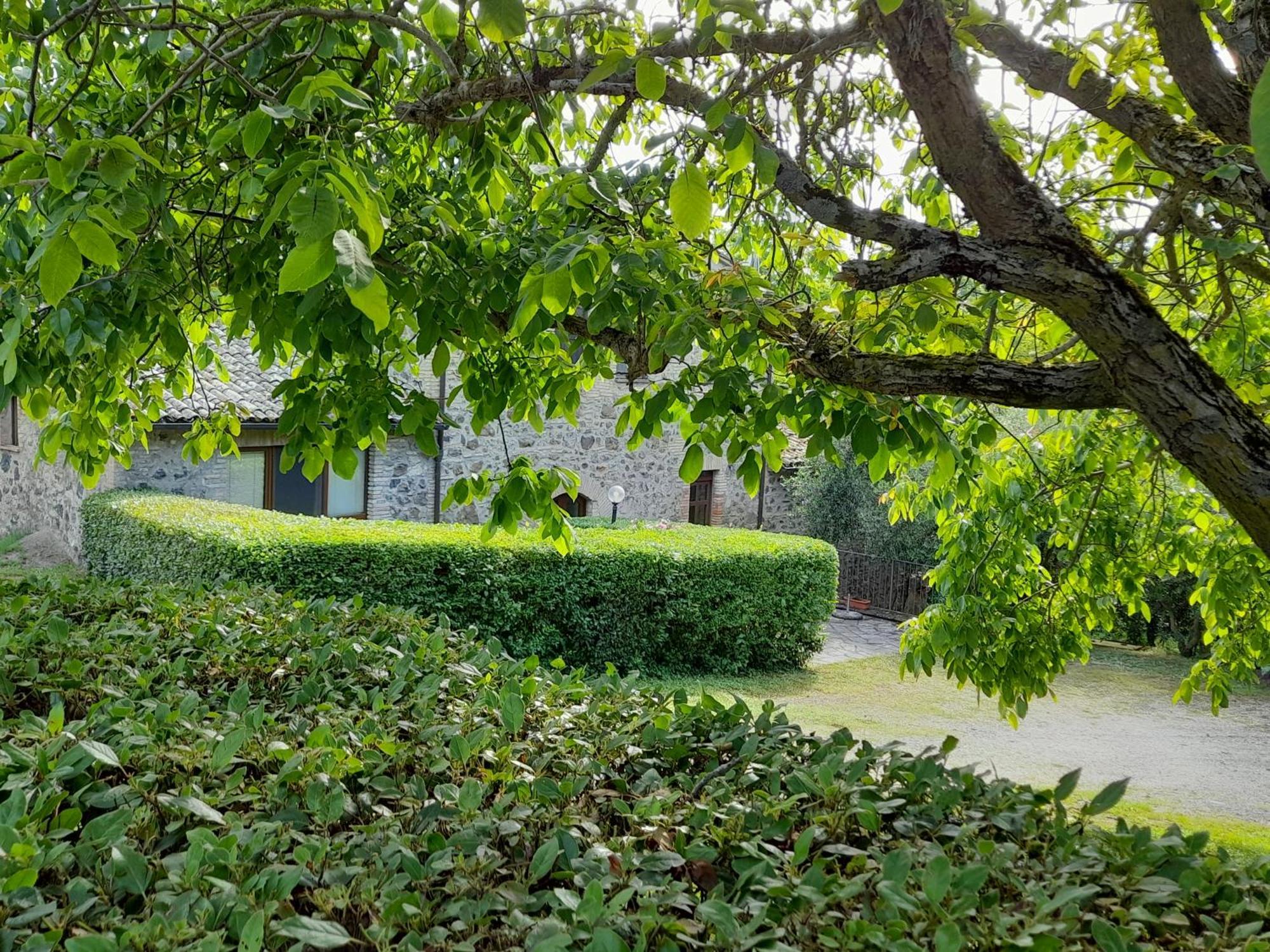 Agriturismo Il Cornalino Castel Viscardo المظهر الخارجي الصورة