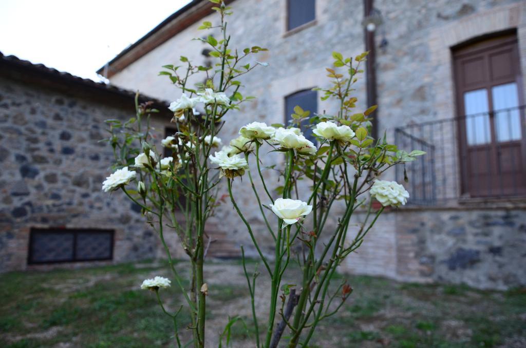 Agriturismo Il Cornalino Castel Viscardo المظهر الخارجي الصورة